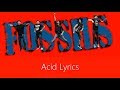 Fossils - ACID!! Lyrics