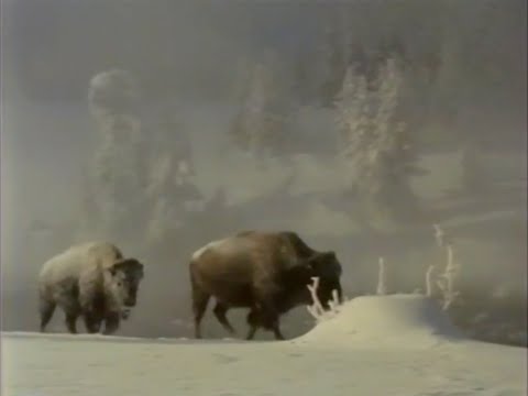 smuv - winter (full EP)