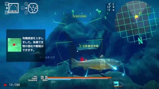 ACE OF SEAFOOD