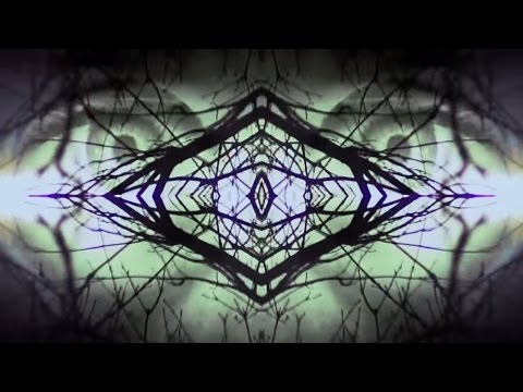 Dreaming Cooper - The Lost World