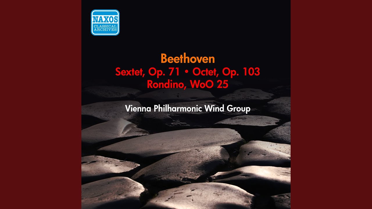IV. Rondo: Allegro