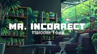 Cover art for Mr. Incorrect - Malcom Todd