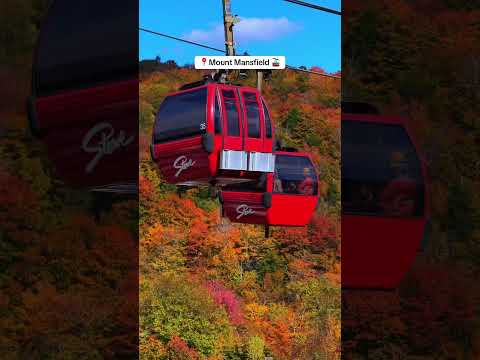 The BEST itinerary for autumn in Vermont! 🍁🍂😍 #fallseason #autumn #vermont #newengland