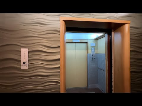 Vintage Haughton Black Button Traction Elevator