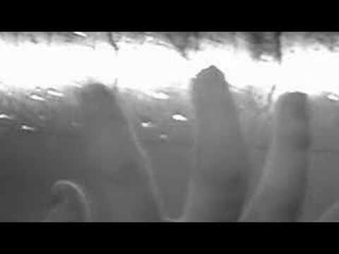 細佬å'¥/wang film