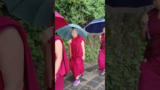 Tibetan Buddhist monk in India 📍🏔️ Dharamshala ❤️ Mcleodganj 🏔️