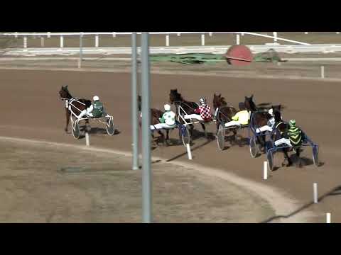 2019.02.23. 02. futam - LÉZER DÍJ