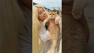 She took in a stray cat🥹 #cat #cats
