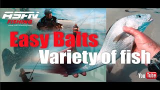 Easy BAITS, Variety of FISH!!! – Scratching Mission @ASFN Fishing​