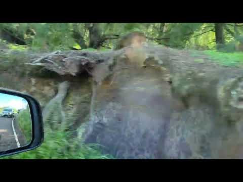 Maui, Hawaii #vacation #travel #trip#tour #beach #places