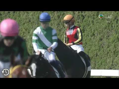 川田將雅 虎斑小貓 13/10/2019 日本京都競馬場 三歲以上一捷馬賽 - 2200米 草地