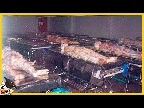 20 Mysterious Things Found Near Area 51