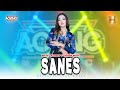 Niken Salindry ft Ageng Music - Sanes (Official Live Music)