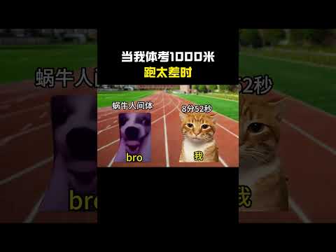 bro被老奶奶拉爆了#cheems #猫meme #搞笑 #funny #熱門