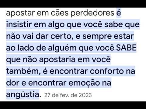 rato preto voador lindo