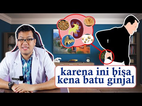 SAKIT BATU GINJAL ATAU KENCING BATU, PENYEBAB DAN SOLUSINYA - DOKTER SADDAM ISMAIL