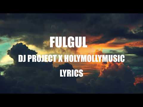 🔥 DJ Project x @HolyMollyMusic - Fulgul | Lyrics 🔥