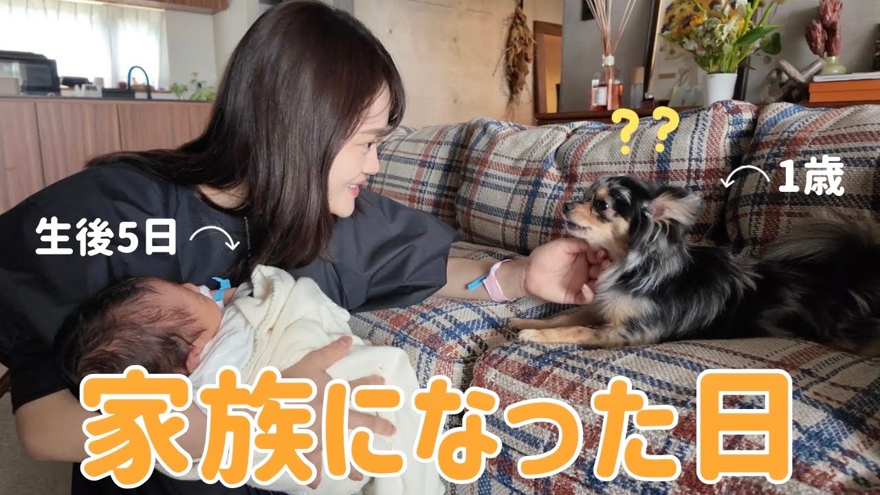 愛犬と赤ちゃん、はじめましての瞬間。
