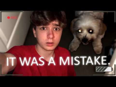 I Learnt How To Speak to Animals