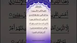 Download lagu 'Surah At-Tin Like You’ve Never Heard Before!' #quran #surah #quranrecitation mp3 Download lagu 'Surah At-Tin Like You’ve Never Heard Before!' #quran #surah #quranrecitation mp3