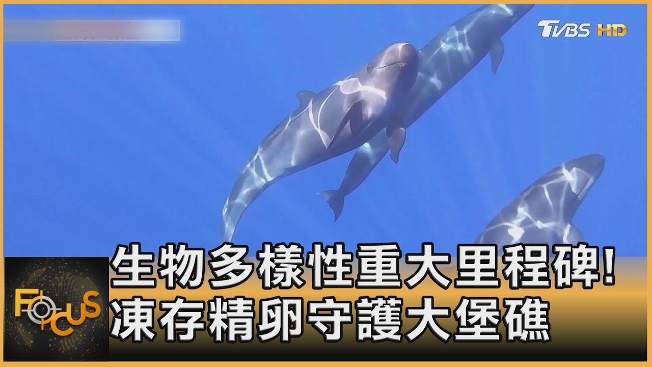 生物多樣性重大里程碑！凍存精卵守護大堡礁