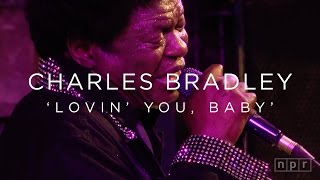 Charles Bradley: &#39;Lovin&#39; You, Baby&#39; SXSW 2016 | NPR MUSIC FRONT ROW