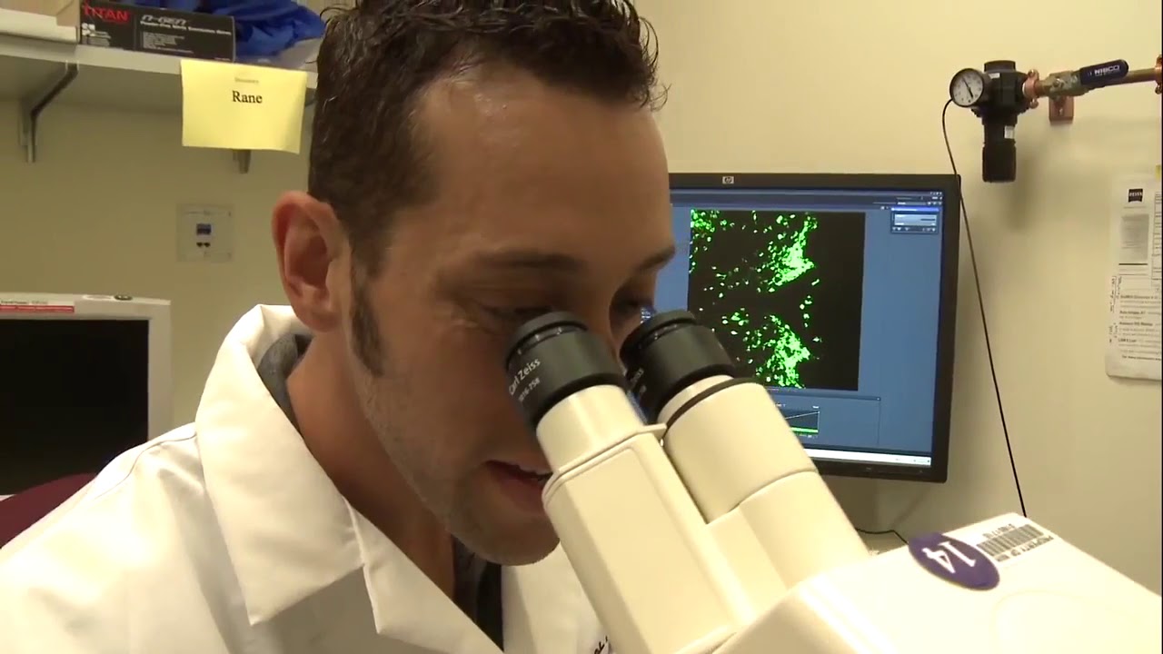 Dr. Michael J. Krashes contributes to fighting obesity - YouTube