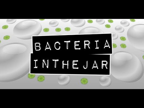 Bacteria in the jar video