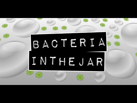 Bacteria in the jar Video