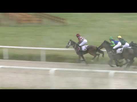 2021.05.23. 05. futam - AMATŐRVERSENY HENDIKEP (V/b.) (szintetikus pálya)