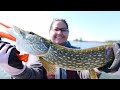 Video Thumbnail for Fishing a pike infested shallow bay with my wife 