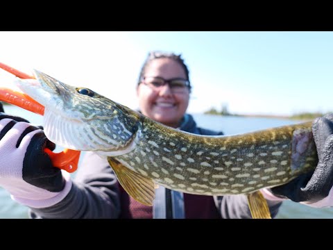 Fishing a pike infested shallow bay with my wife 