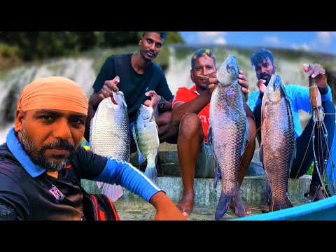 කිමිදුම් වෙඩිල්ල | Kimidum wedilla @wishwatiyubaya 🤿😲🐟