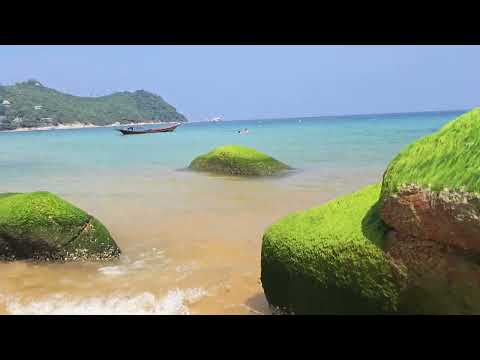 11 апреля 2025 г.