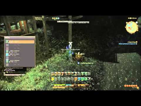 Final Fantasy 14:  What's Kap Leveling:  Botany levels 30 to 41