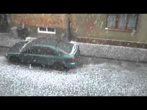 Kroupy v Žatci 30.6.2010