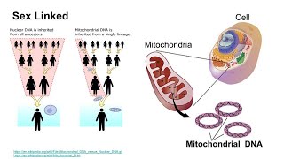 Understanding DNA and DNA Kits