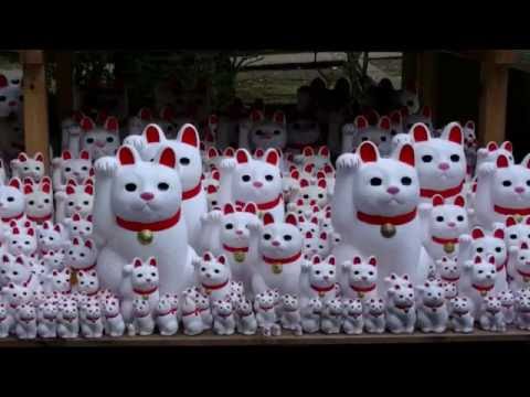 Tokyo's Maneki Neko Shrine Goutoku-ji