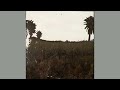 Odawas - Boy In The Yard [Breakcore]