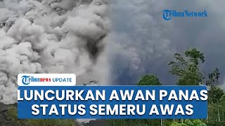 Gunung Semeru Erupsi, Status Awas Ditetapkan, Awan Panas Meluncur dan Warga Diminta Waspada