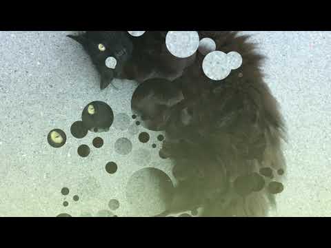 Robert Solheim - Åpent Vindu I Flukt - Original