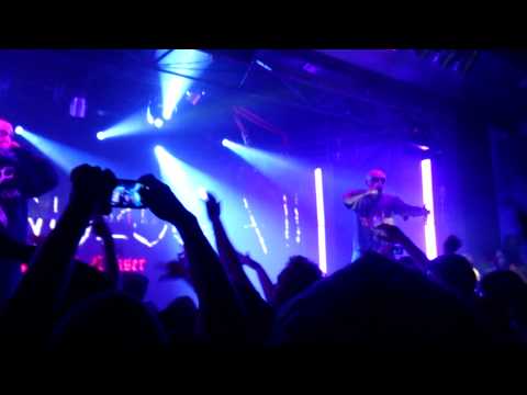 Słoń ŚRF Megaclub 16.11.13 WSRH