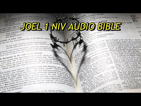 JOEL 1 NIV AUDIO BIBLE(with text)