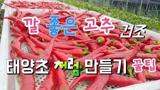 깔 좋은 고추 건조시 태양초 처럼 만들기,고추 건조기 온도 50도Make it look like the su…