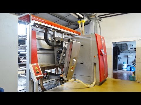 LELY ASTRONAUT A4 | Robotic Milking System | Italy