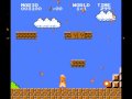 Mario Goose SUPER MARIO BROS Snow Goose