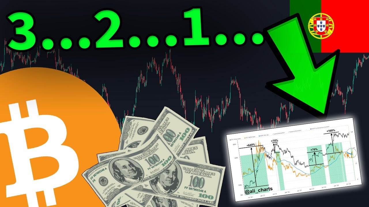 ATENÇÃO HODLERS DE BITCOIN: A HISTÓRIA ESTÁ A REPETIR-SE!