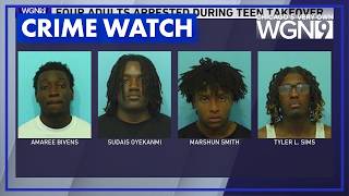 Naperville police make nine arrests, issue dozens of citations during teen takeover
