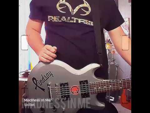 Madness In Me - Skillet