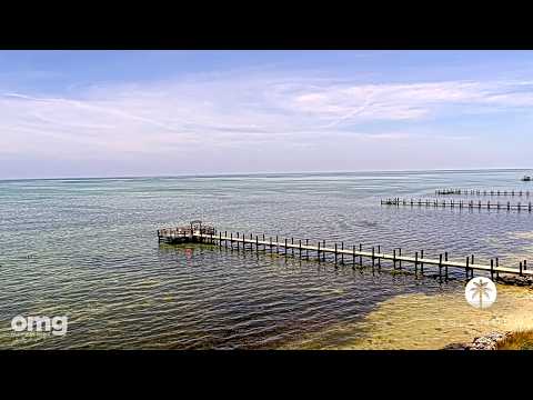[ŽIVĚ] Islander Resort